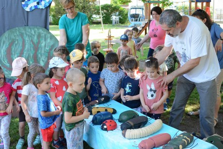 Bogárháton - mesés program a környezetvédelem jegyében